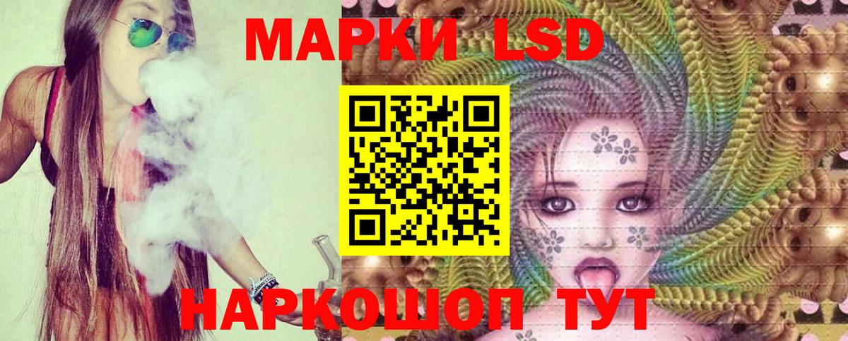 Новозыбков  LSD-25 экстази ecstasy  Вход с VPN  LSD-25 экстази кислота 