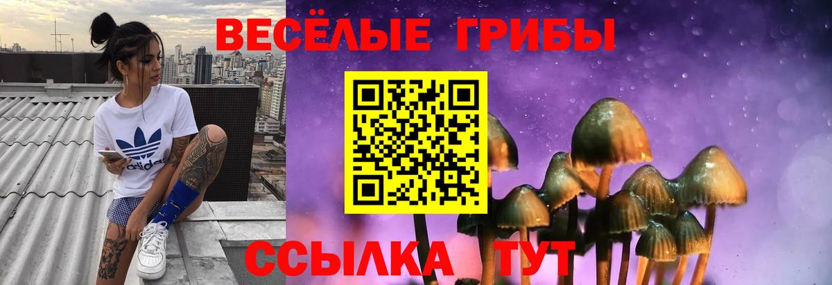 Галлюциногенные грибы Magic Shrooms Новозыбков