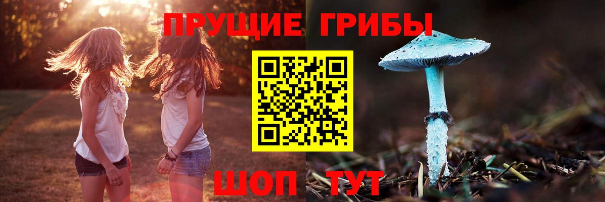 Новозыбков  Галлюциногенные грибы мицелий  Вход с VPN 