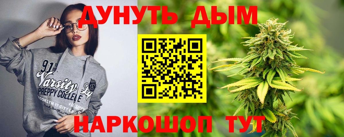 Шишки марихуана MAZAR  Вход с VPN  Шишки марихуана VHQ  Новозыбков  Конопля AK-47 